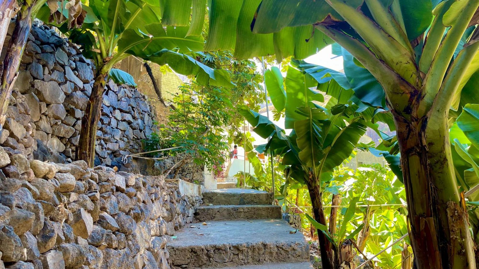 Casa Minga & Tatol Villa Ribeira Grande Eksteriør bilde